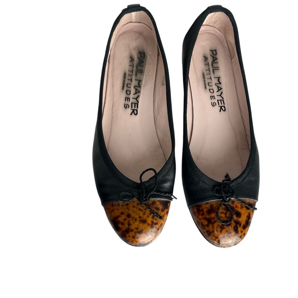 Paul Mayer Attitudes Flats